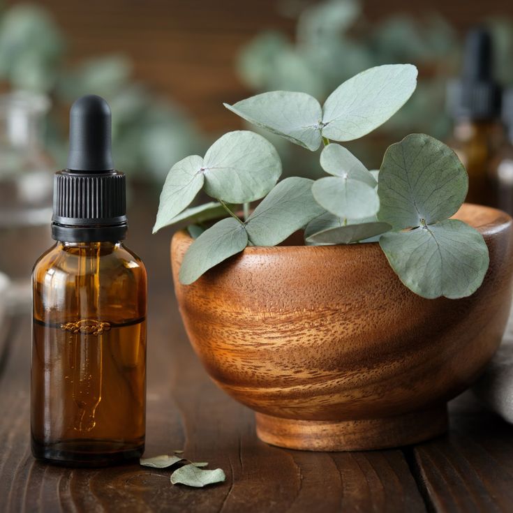 Full Accessories Pack