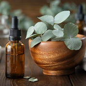 Fragrance Lover Pack