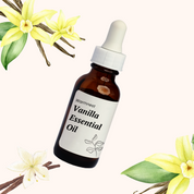Vanilla Fragrance (10mL)