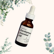 Warmnest Eucalyptus Oil 10mL | Natural Candle Scent